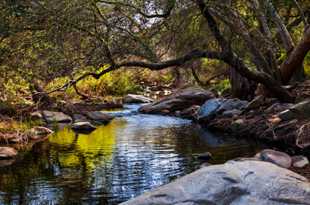 San Marcos Creek-8590.jpg